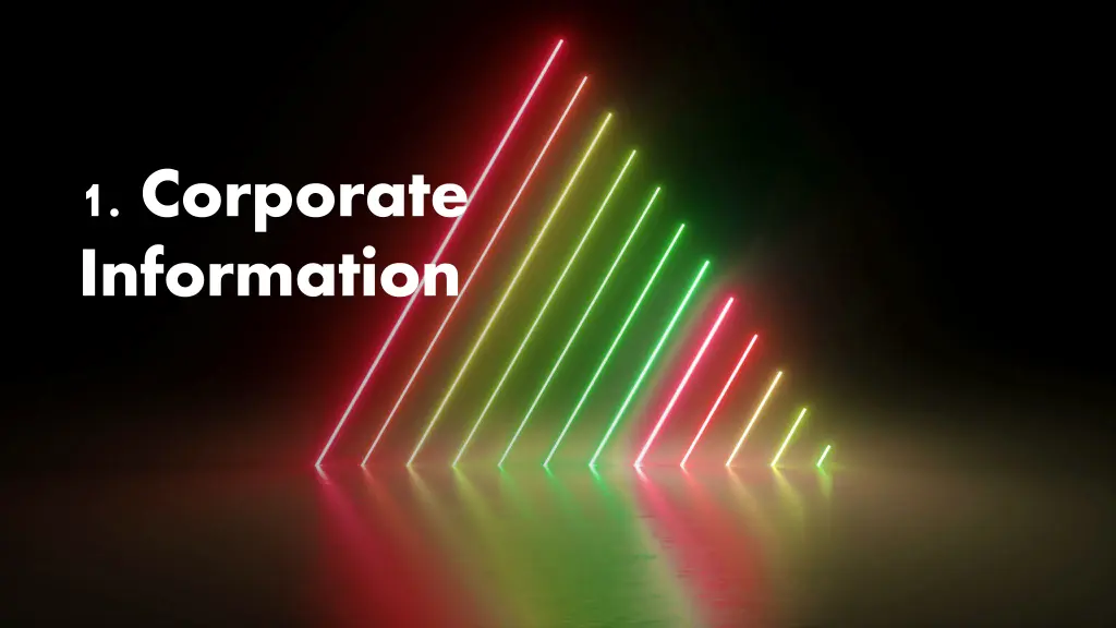 1 corporate information