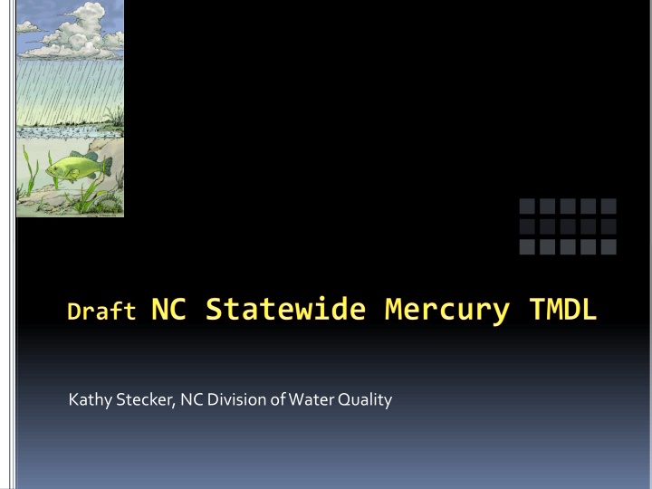 kathy stecker nc division of water quality