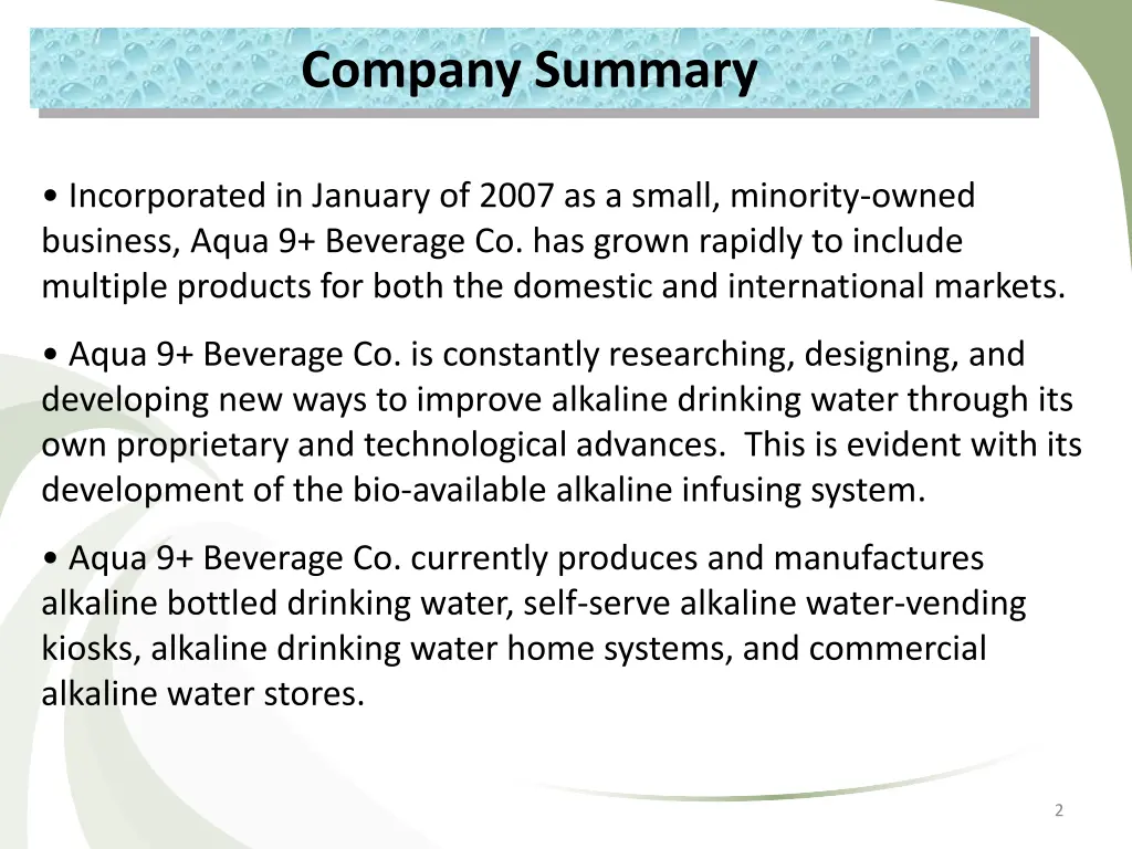 company summary