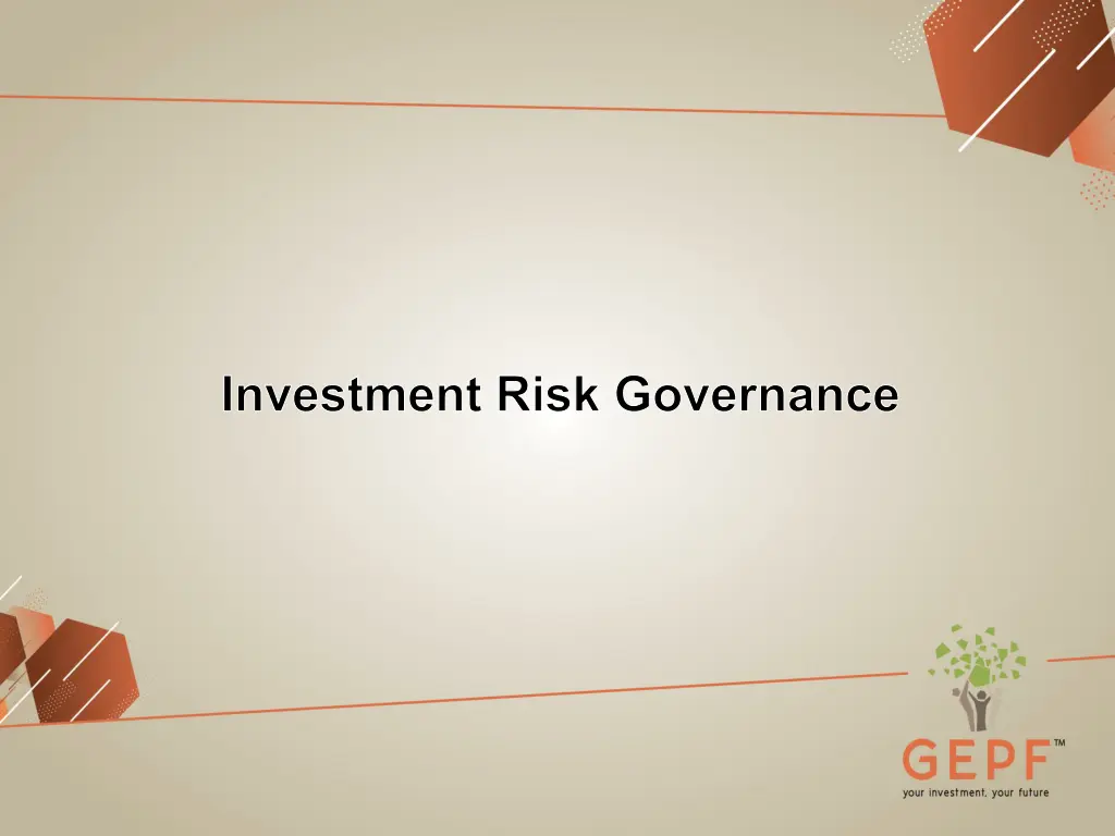 investment risk governance