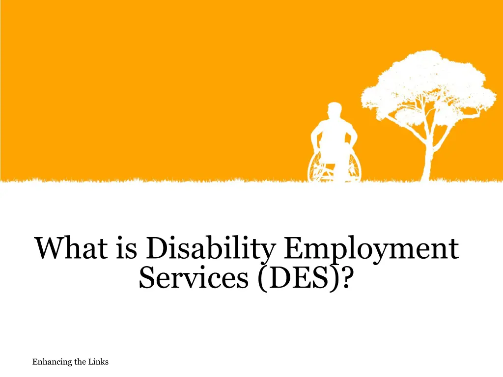 what is disability employment services des