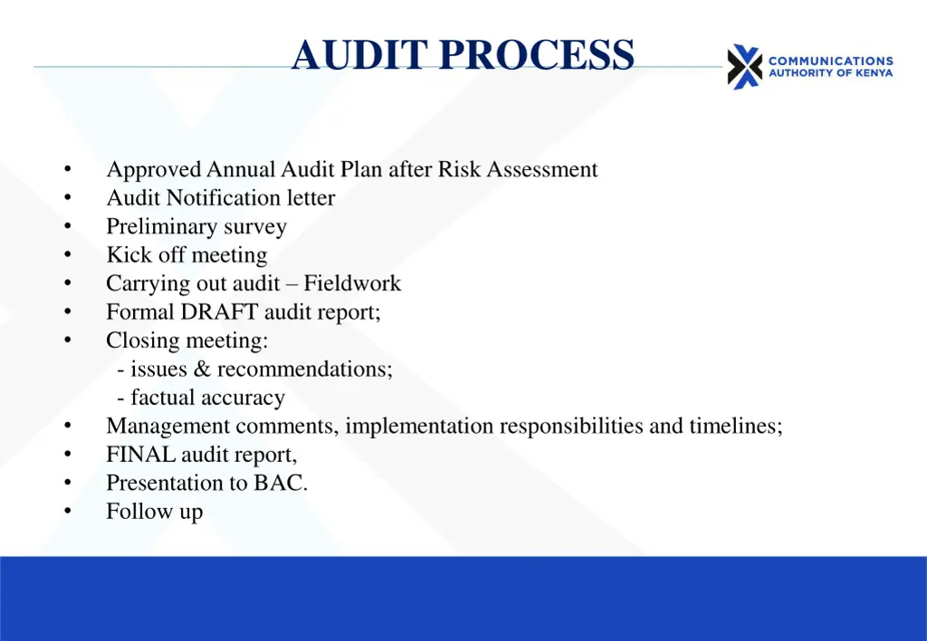 audit process
