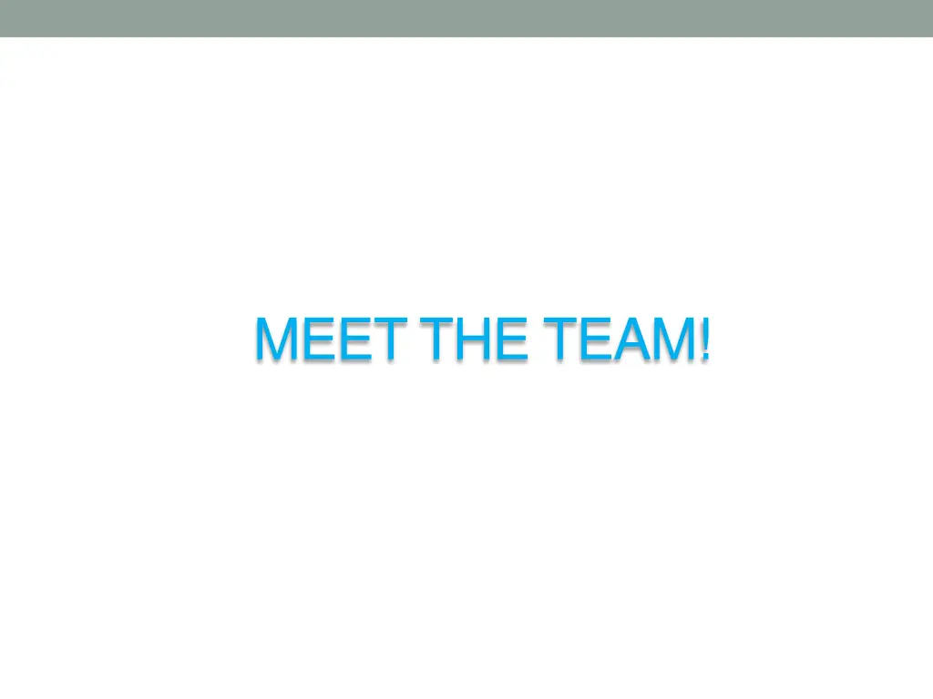meet the team