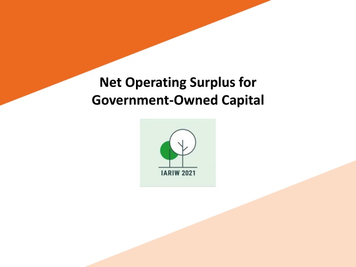 net operating surplus for government owned capital