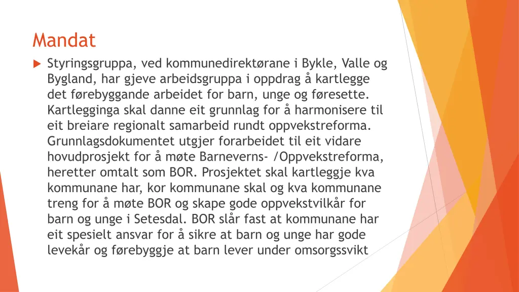 mandat styringsgruppa ved kommunedirekt rane