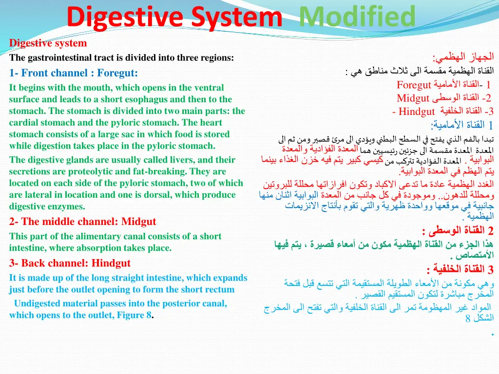 digestive system modified digestive system