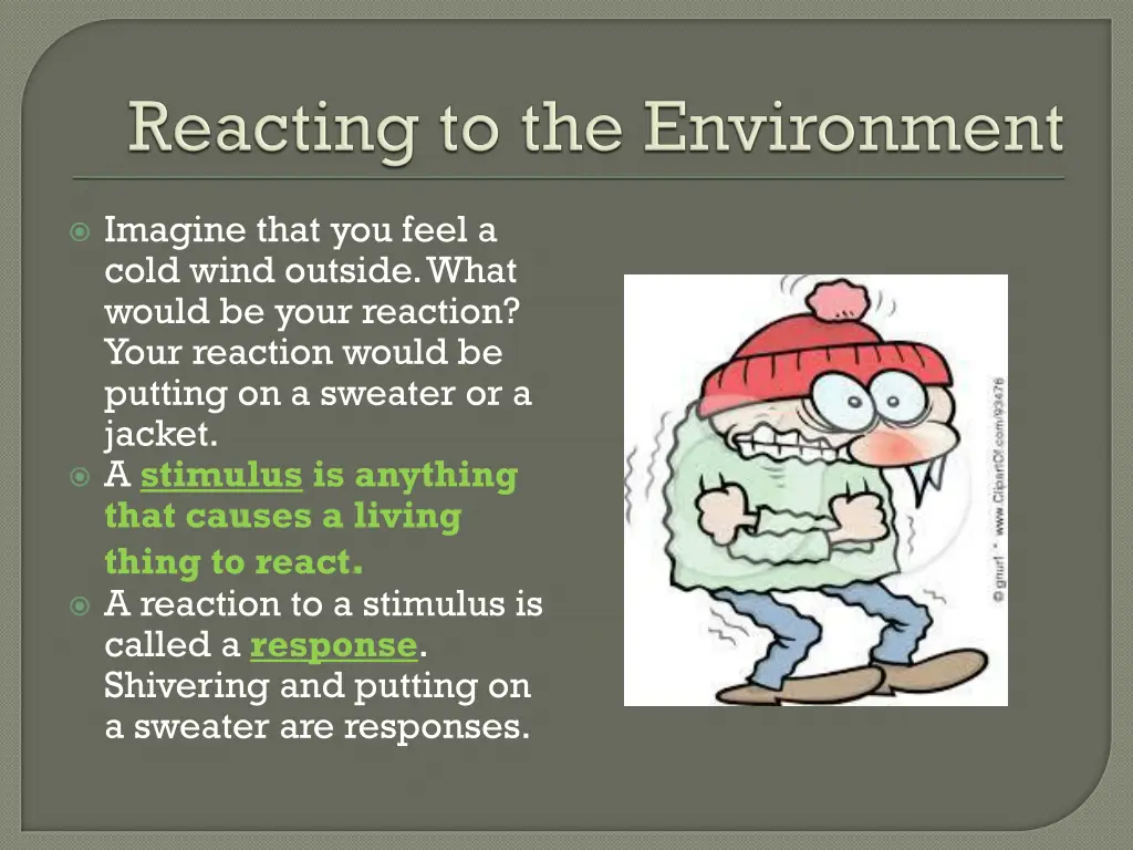 imagine that you feel a cold wind outside what