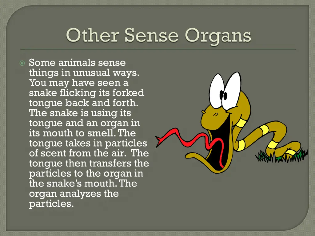some animals sense things in unusual ways