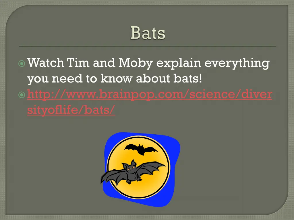 watch tim and moby explain everything you need
