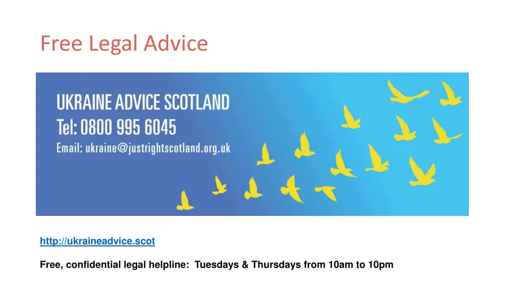 free legal advice