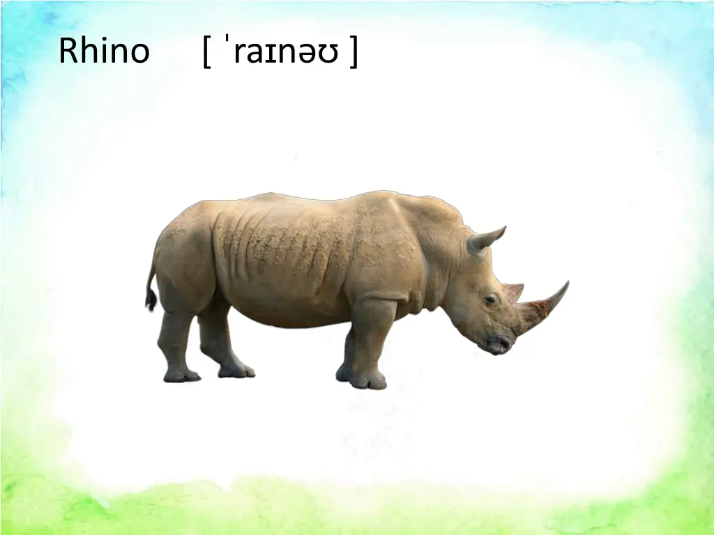 rhino ra n