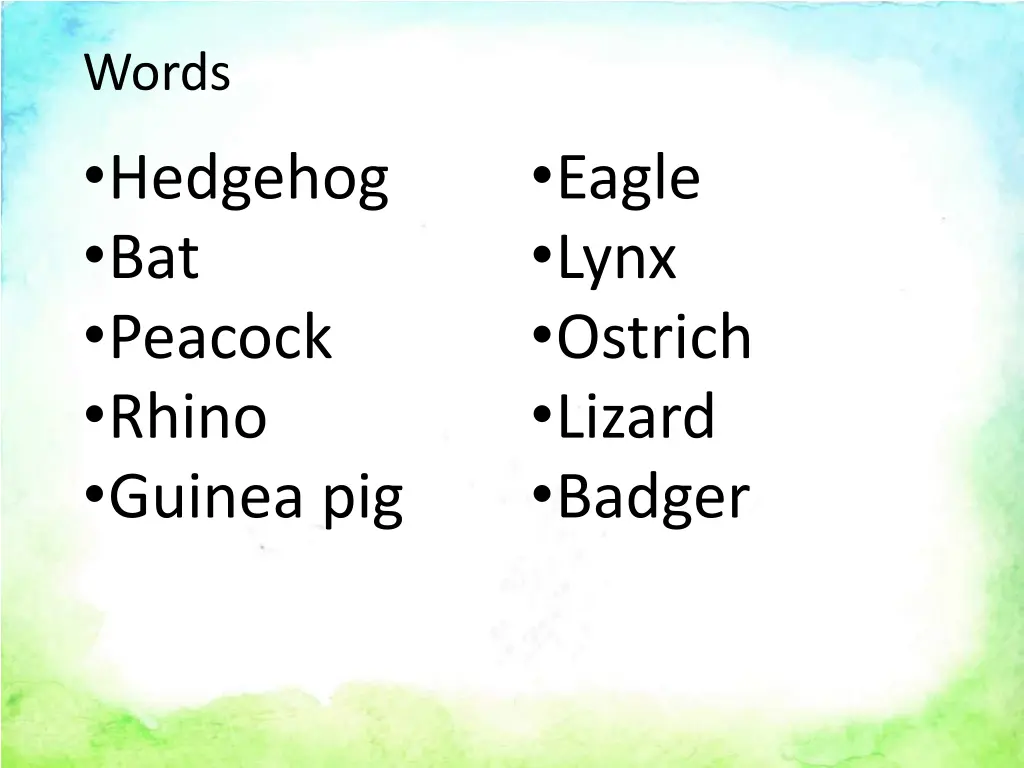 words hedgehog bat peacock rhino guinea pig