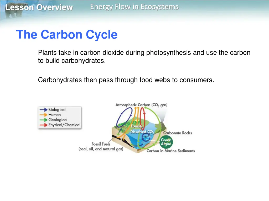 lesson overview 22