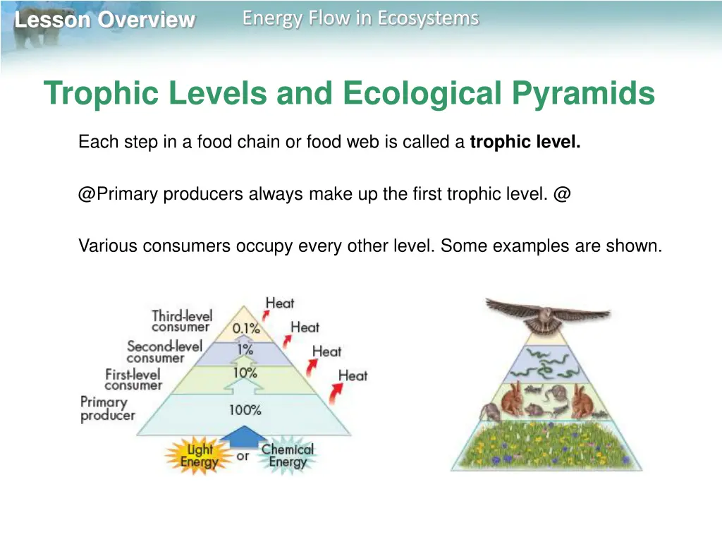 lesson overview 6