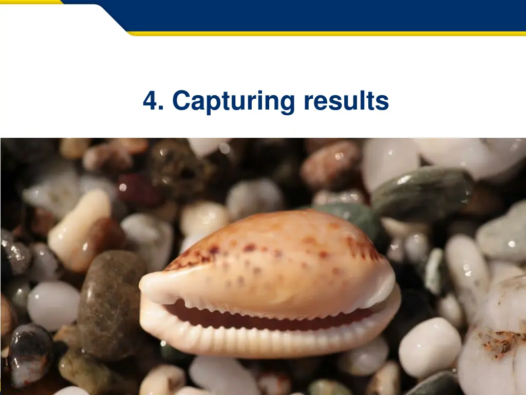 4 capturing results