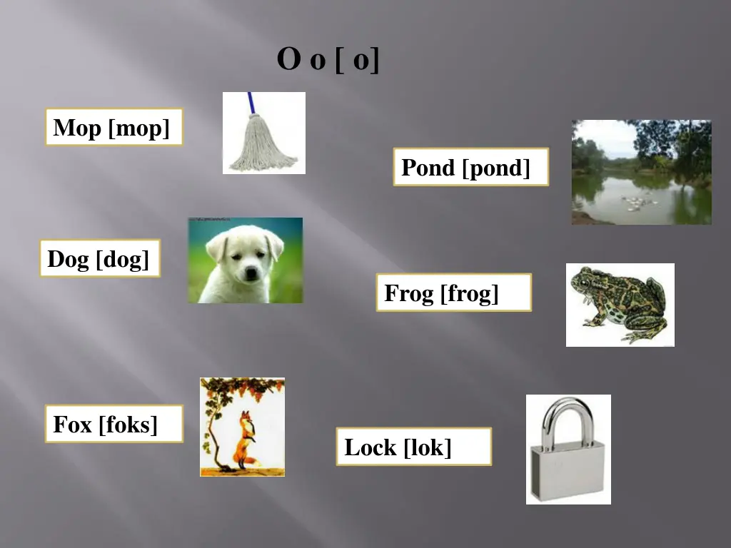 o o o