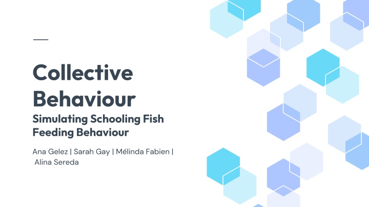 collective behaviour simulating schooling fish