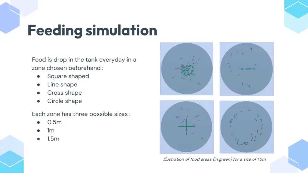 feeding simulation