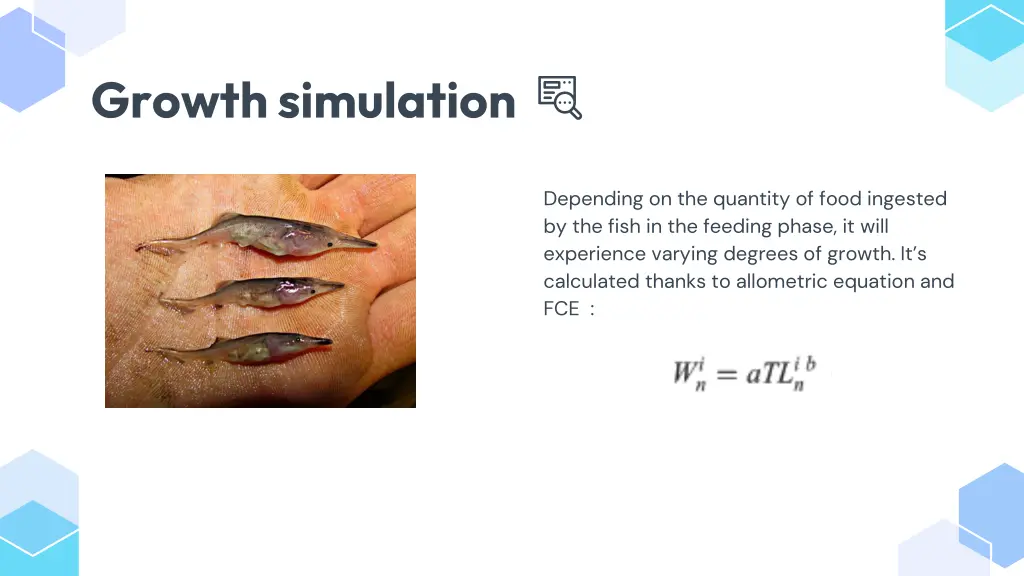 growth simulation
