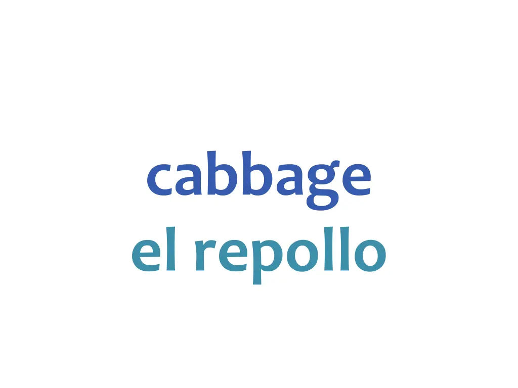 cabbage el repollo