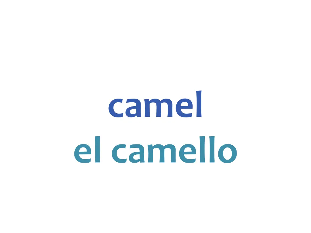 camel el camello