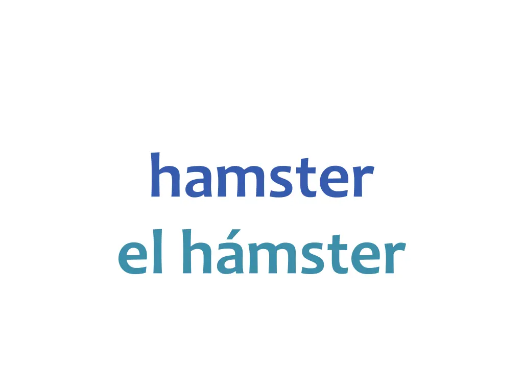 hamster el h mster
