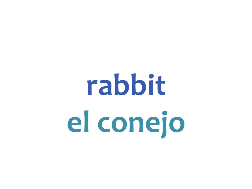 rabbit el conejo