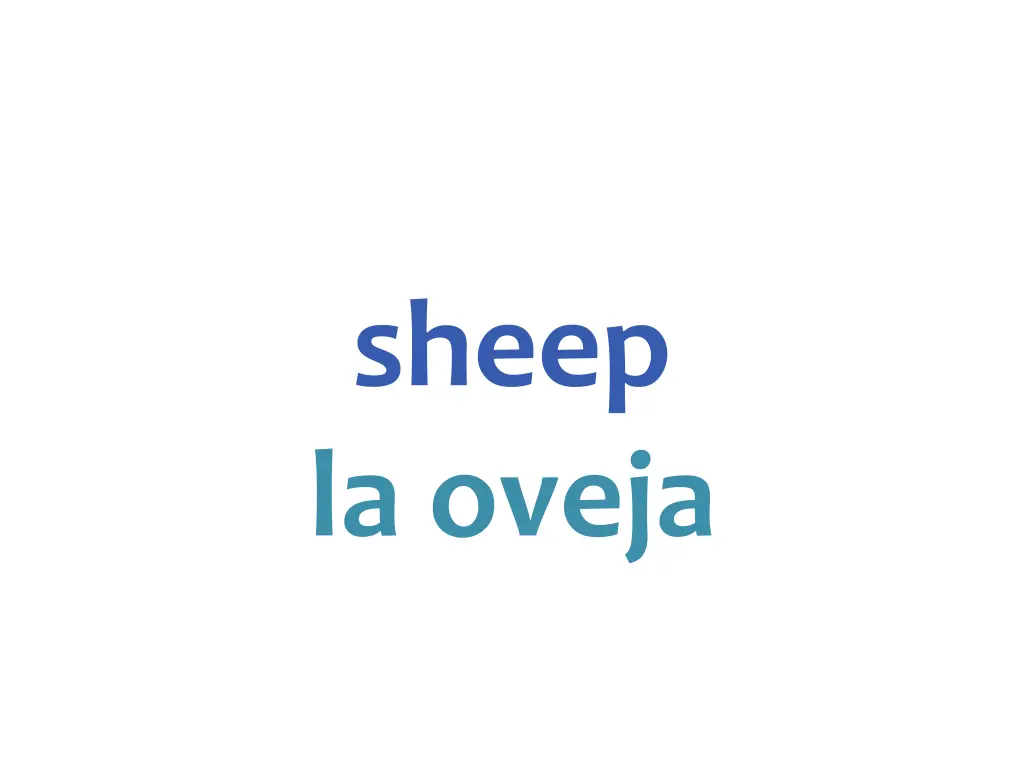 sheep la oveja