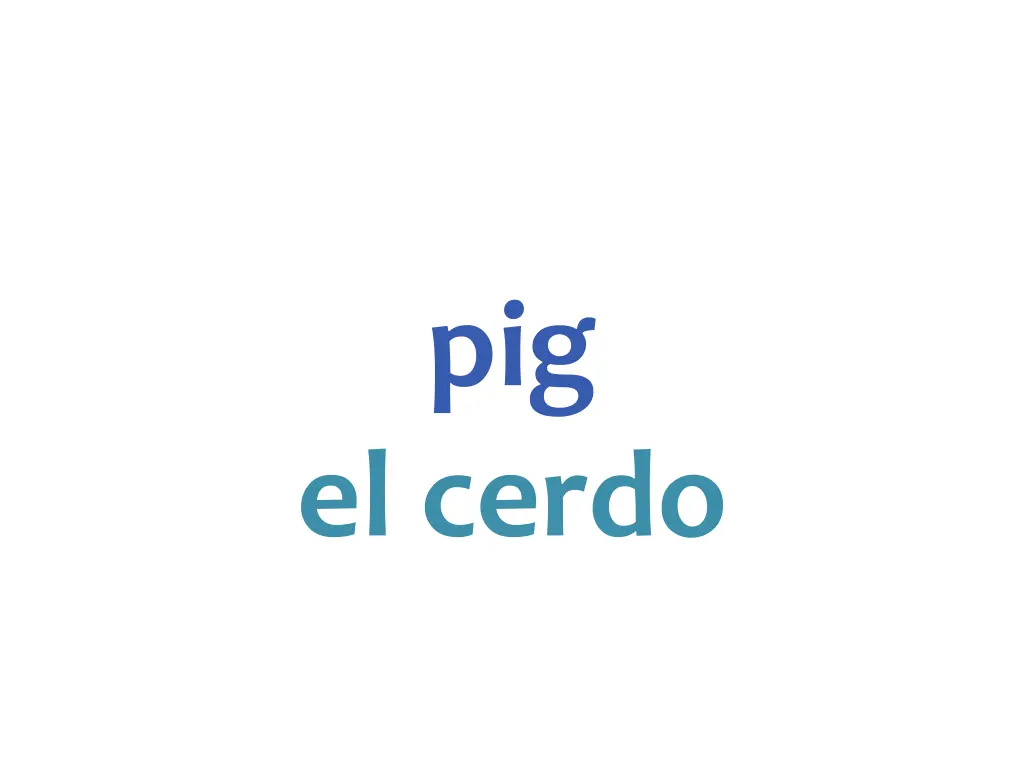 slide17
