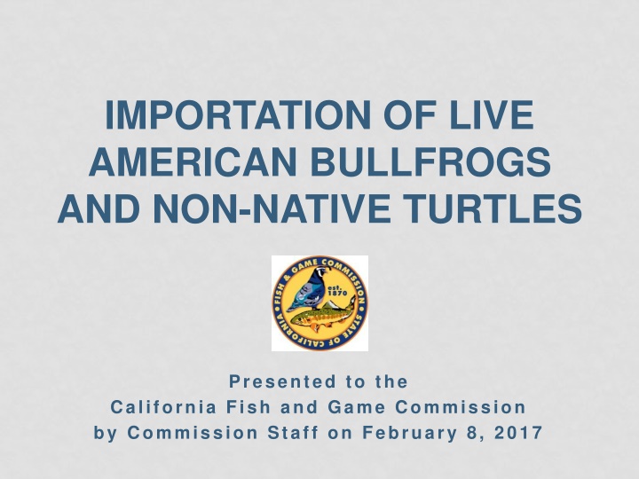importation of live american bullfrogs