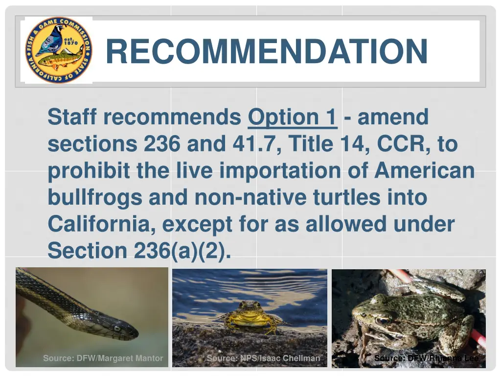 recommendation