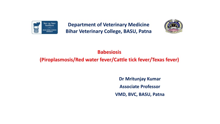 department of veterinary medicine bihar
