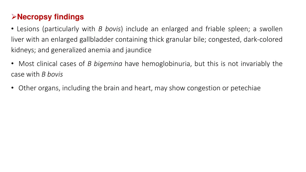 necropsy findings lesions particularly with