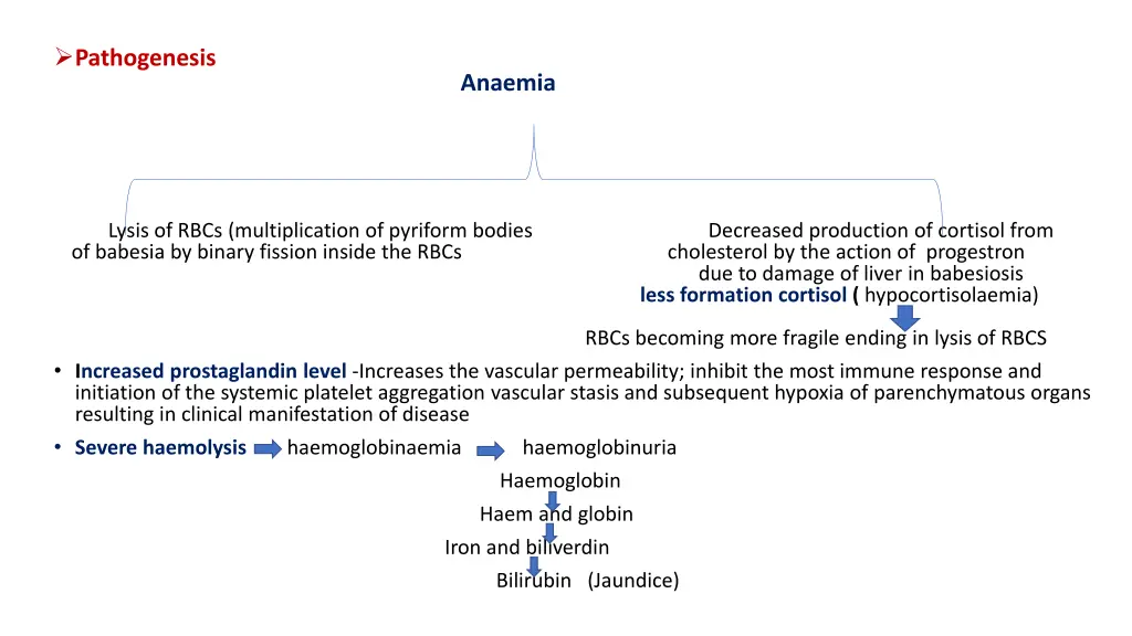 pathogenesis anaemia