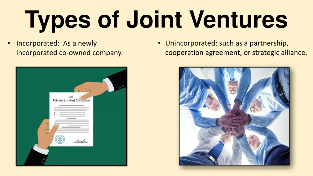 types of joint ventures