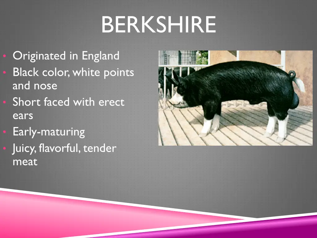 berkshire