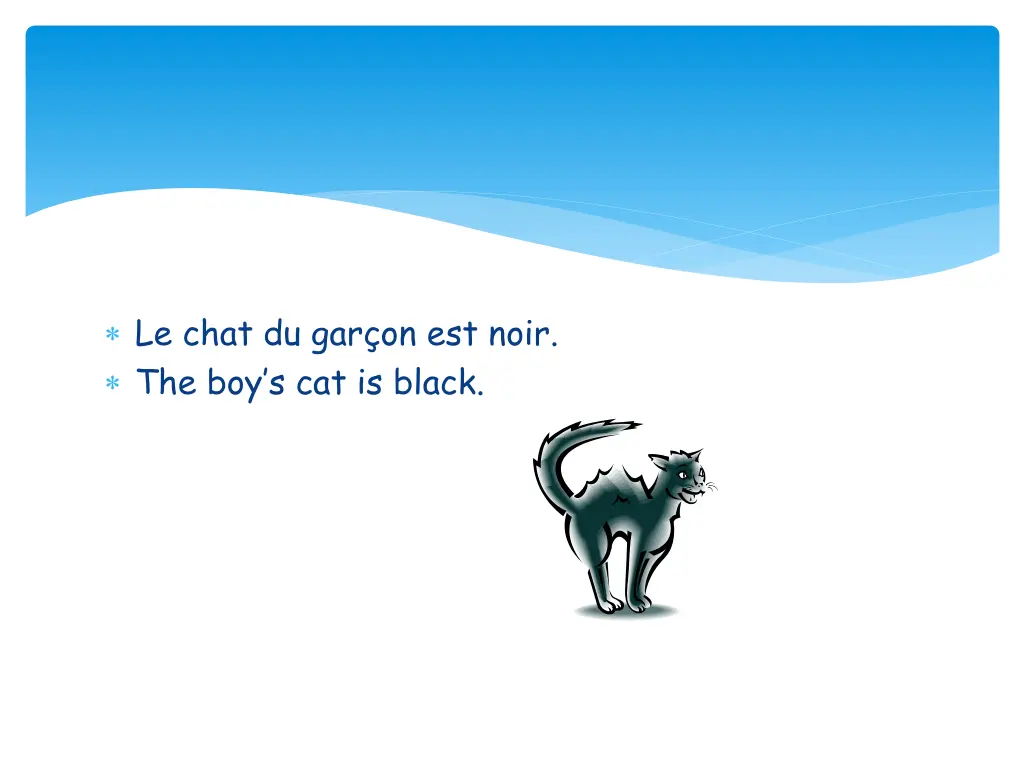 le chat du gar on est noir the boy s cat is black