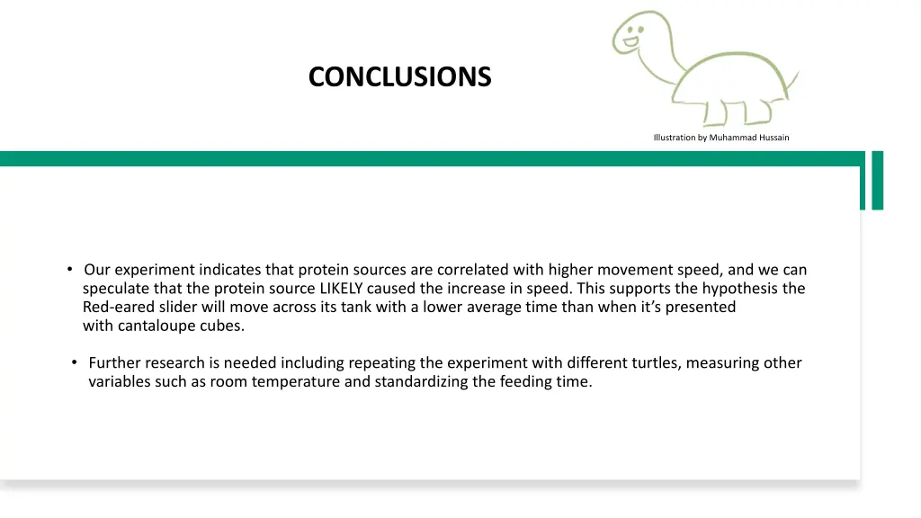 conclusions