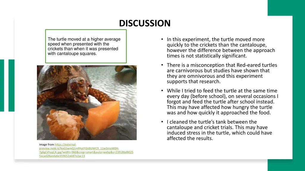 discussion