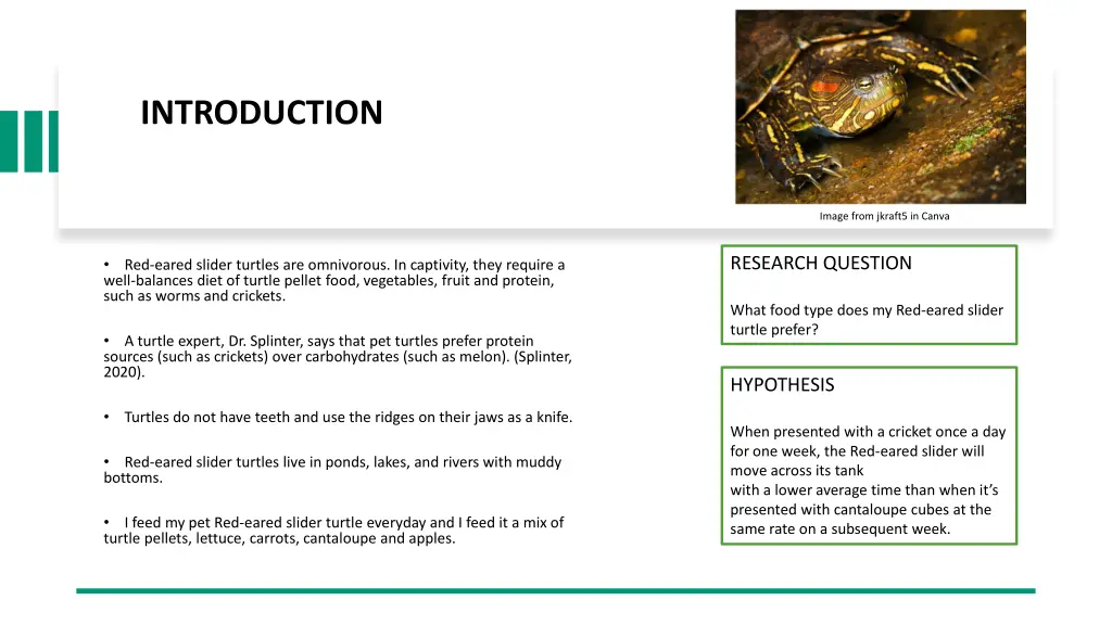 introduction