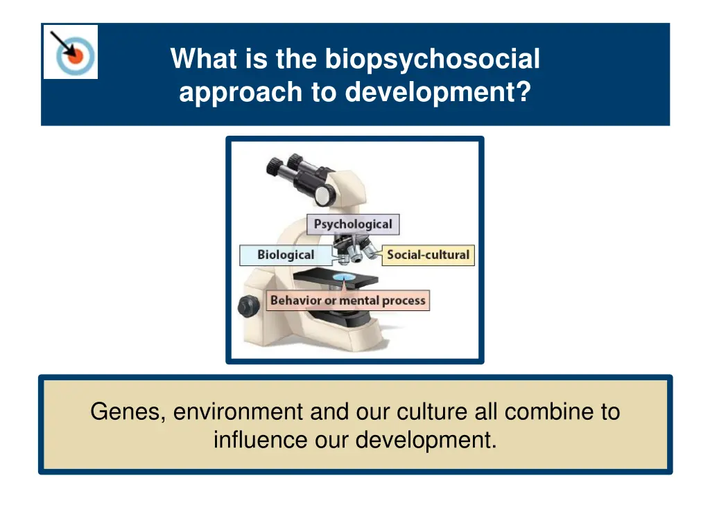 what is the biopsychosocial approach