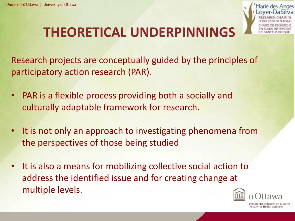 theoretical underpinnings