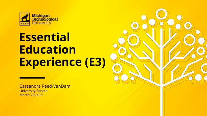 essential education experience e3