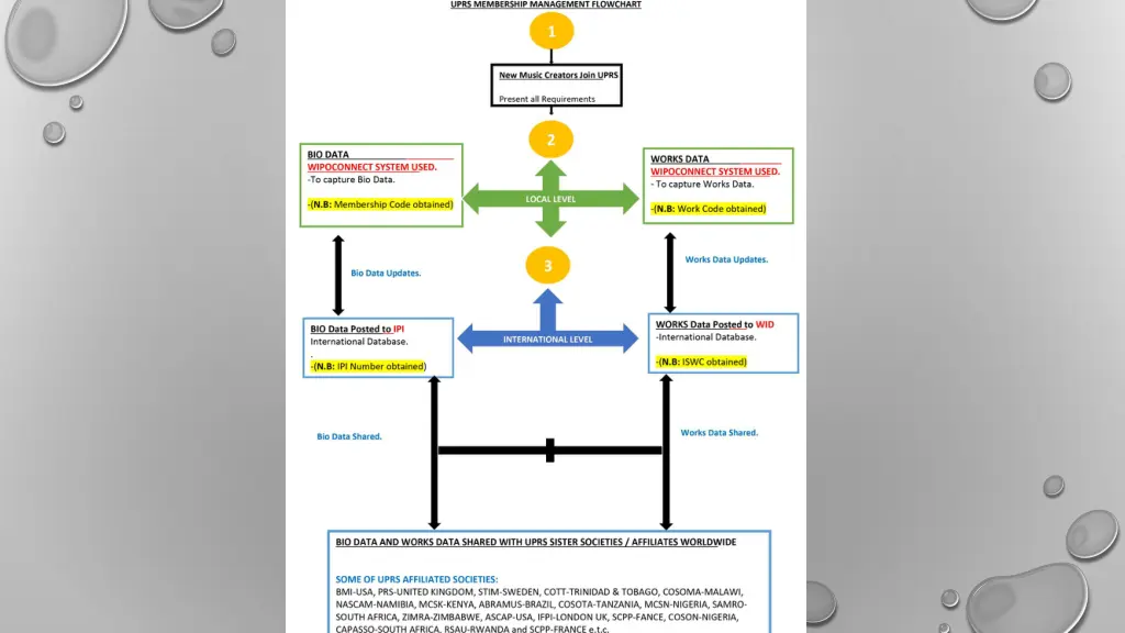 slide4