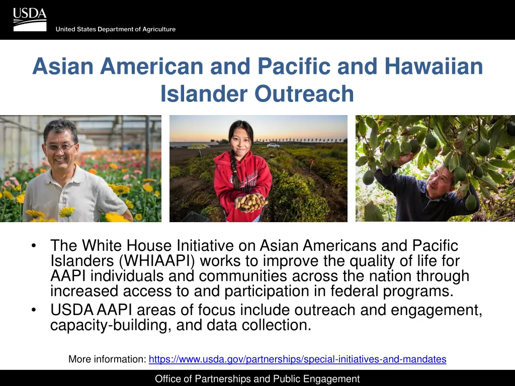 asian american and pacific and hawaiian islander