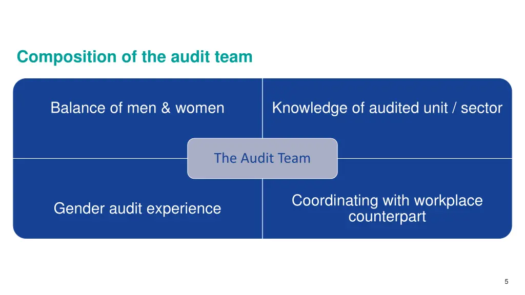 composition of the audit team