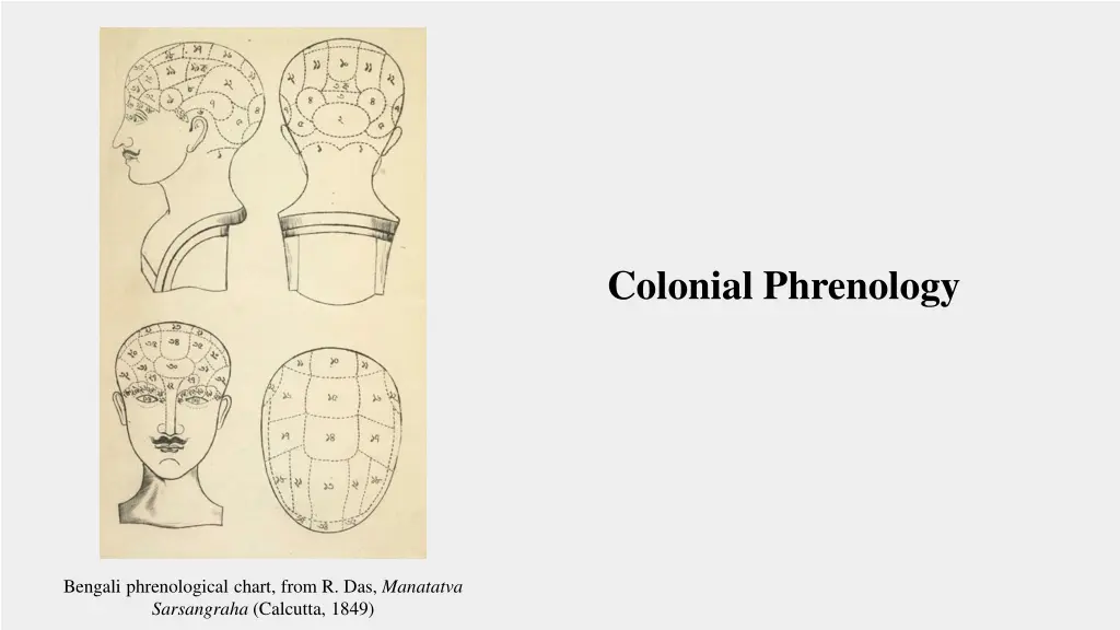 colonial phrenology