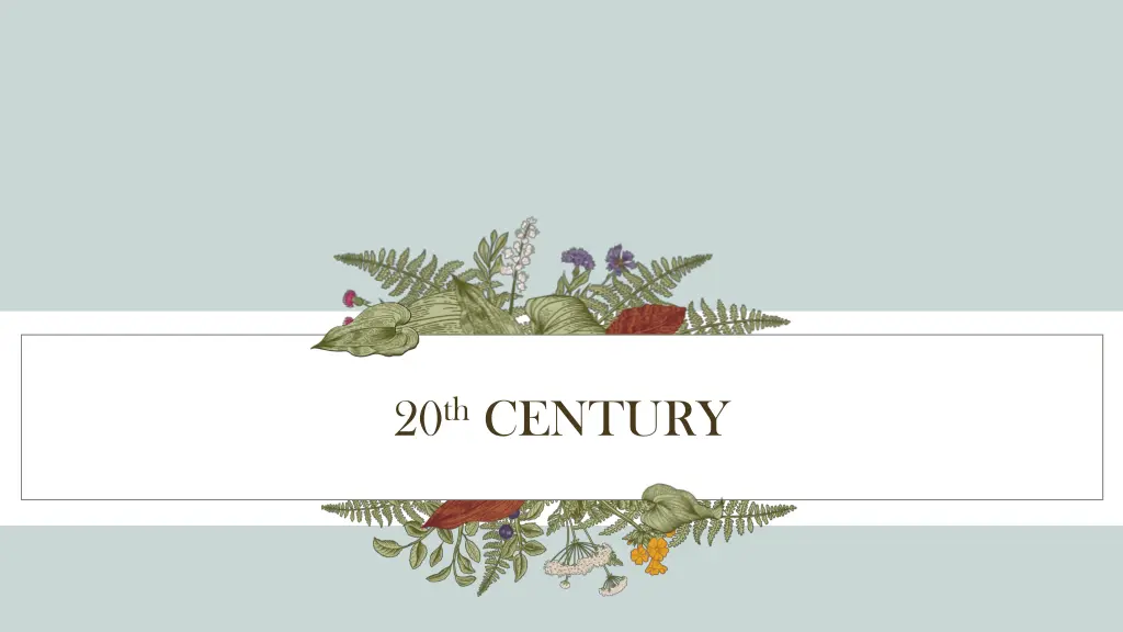20 th century