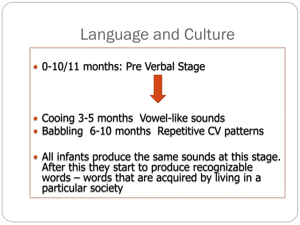language and culture 2