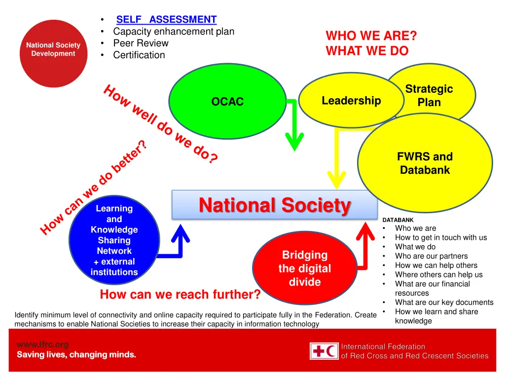 self assessment capacity enhancement plan peer